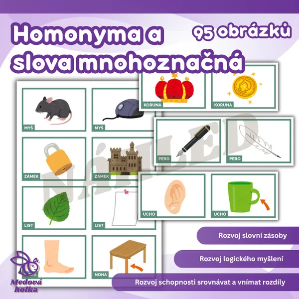 Homonyma a slova mnohoznačná
