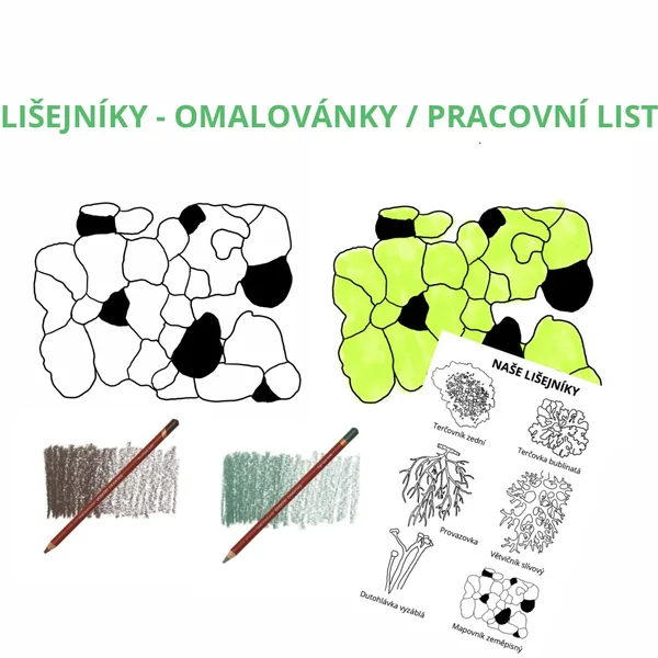 Naše lišejníky - omalovánky/pracovní list (autorské ilustrace)