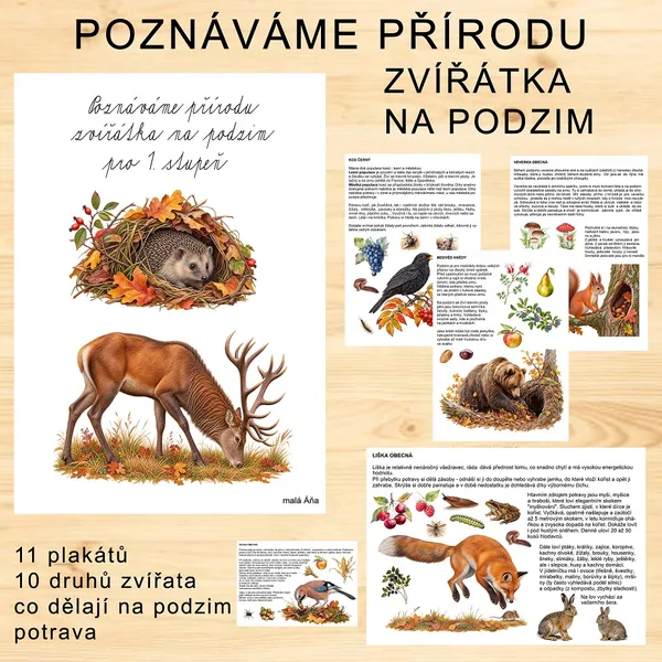 POZNÁVÁME PŘÍRODU - ZVÍŘÁTKA NA PODZIM PRO 1. STUPEŇ ZŠ