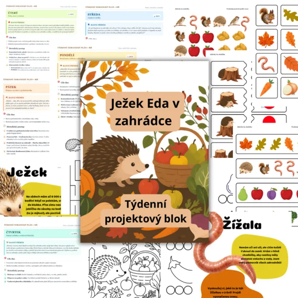 Ježek Eda v zahrádce
