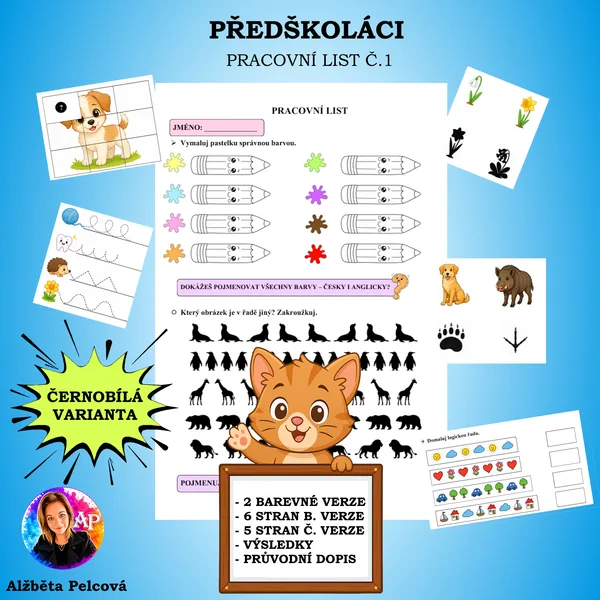 PŘEDŠKOLÁCI (pracovní list)