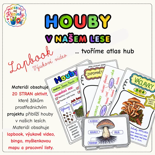 Houby v našem lese