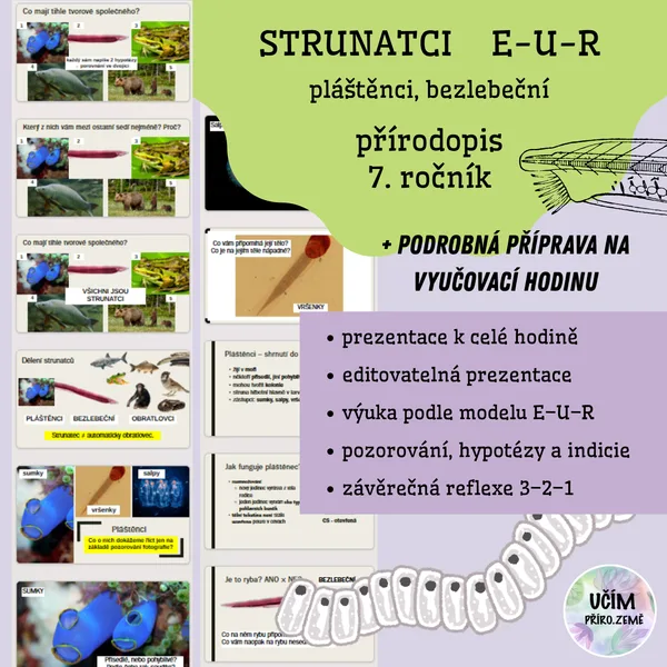 Dělení strunatců - příprava podle E-U-R