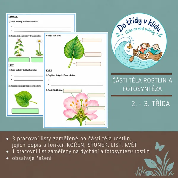 Části těla rostlin a fotosyntéza