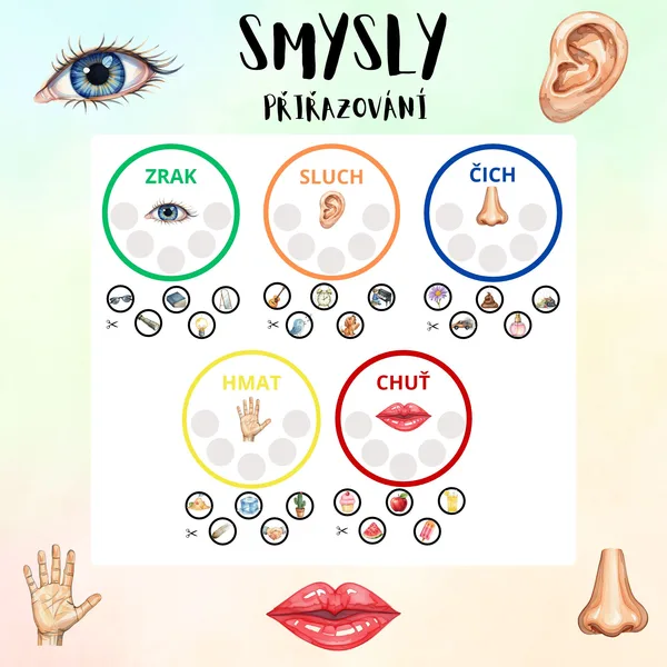 SMYSLY- přiřazování