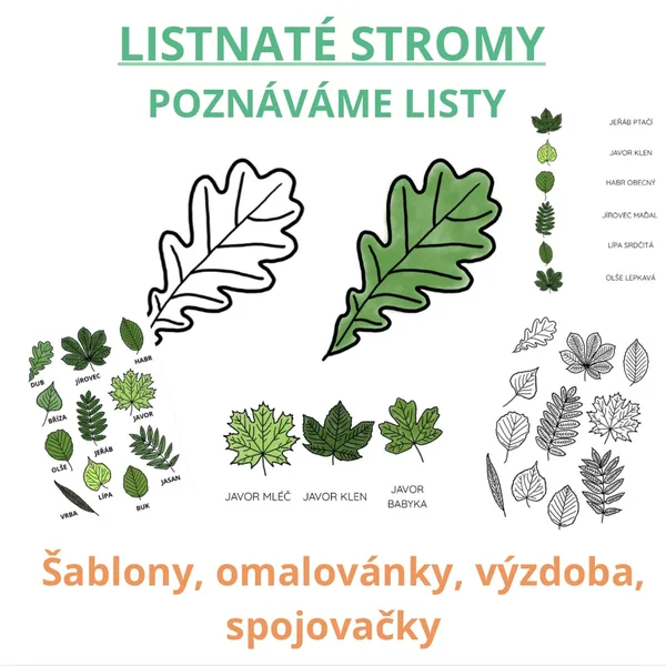 Listnaté stromy a listy - omalovánky, šablony, výzdoba, spojovačky (autorské ilustrace)