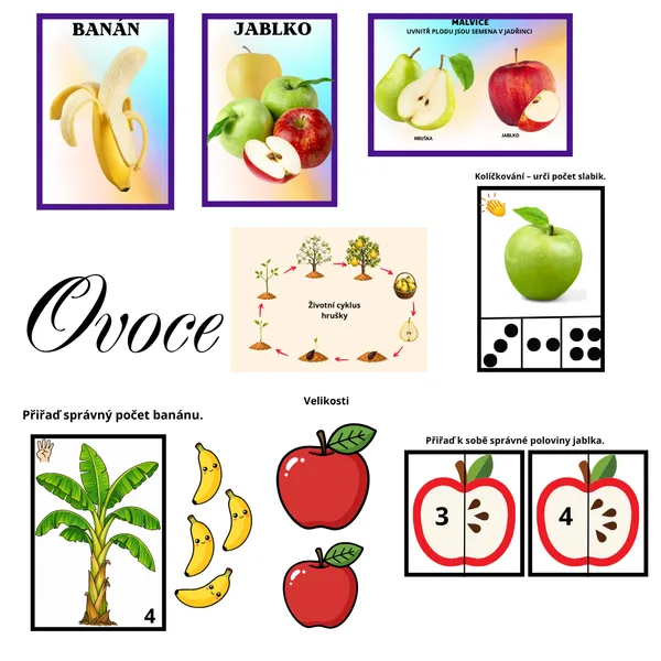 Ovoce