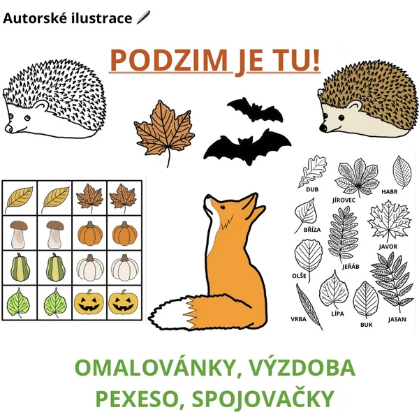 Podzim je tu - omalovánky, šablony, výzdoba, pexeso (autorské ilustrace) 🎃🍂