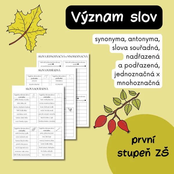 Význam slov - antonyma, synonyma, slova mnohoznačná, souřadná - kartičky