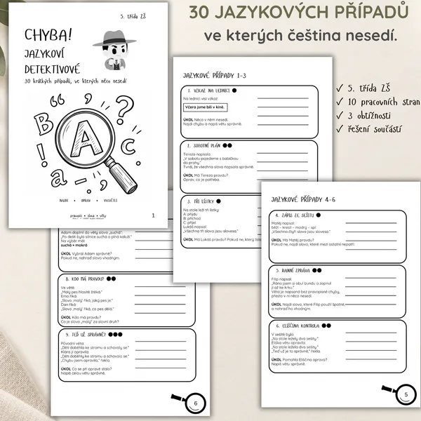 CHYBA! Jazykoví detektivové | 30 případů pro 5. třídu