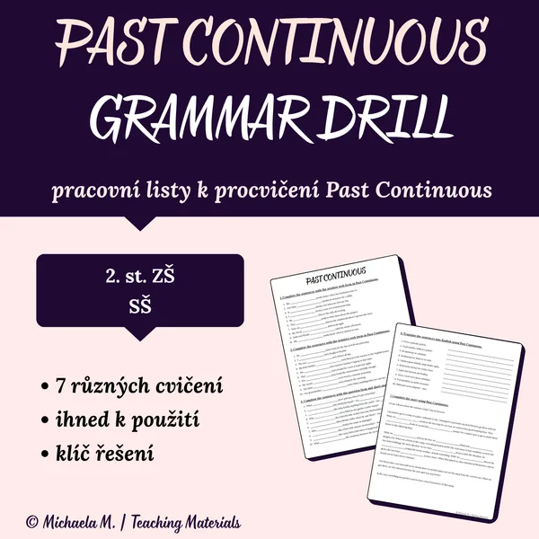 Past Continuous - grammar drill