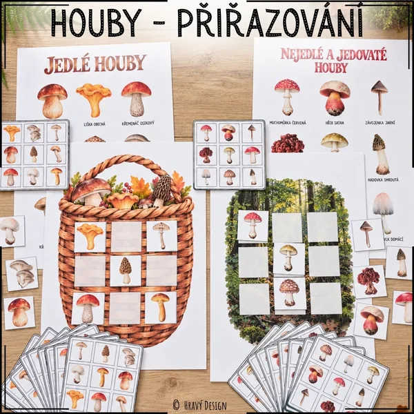 Houby - přiřazování