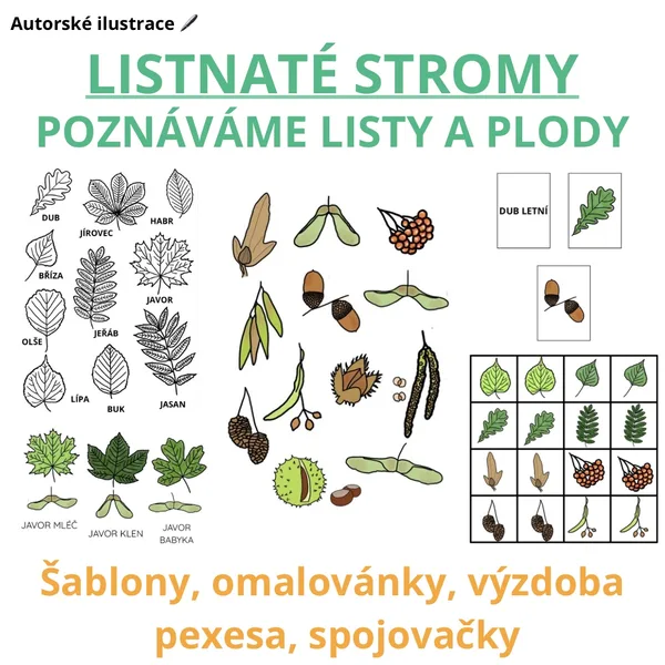 Listnaté stromy/listy a plody - omalovánky, výzdoba, pexesa, spojovačky (autorské ilustrace)