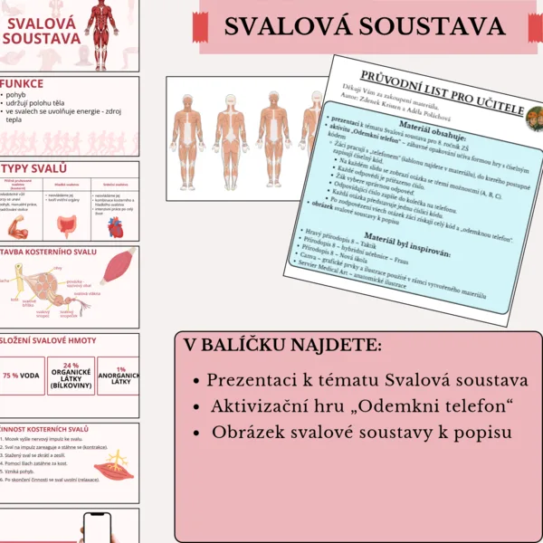 Svalová soustava