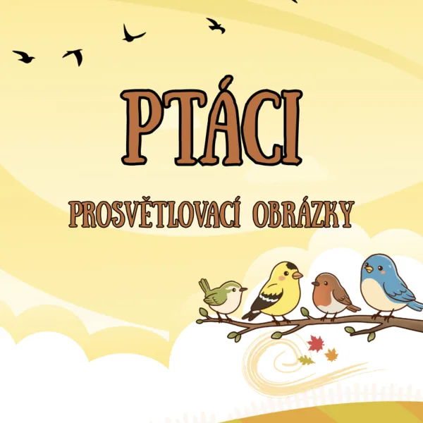 Ptáci | prosvětlovací obrázky