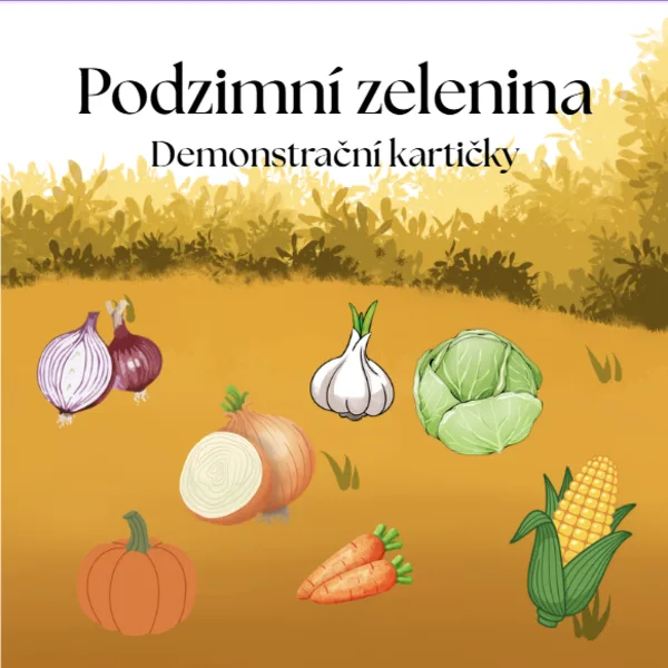Podzimní zelenina - demonstrační kartičky