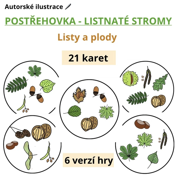 Postřehovka - Listnaté stromy (plody a listy)