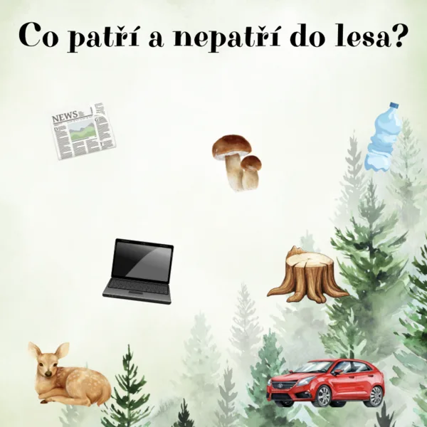 Co patří a nepatří do lesa