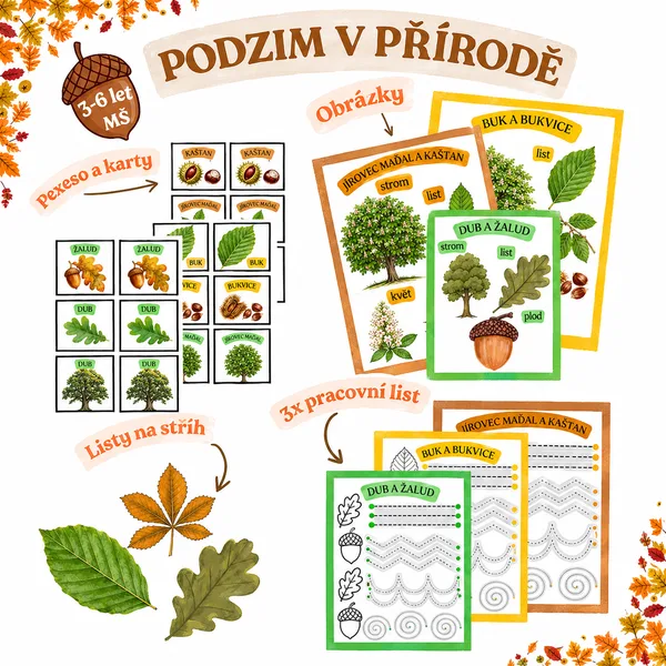 PODZIMNÍ PLODY STROMŮ