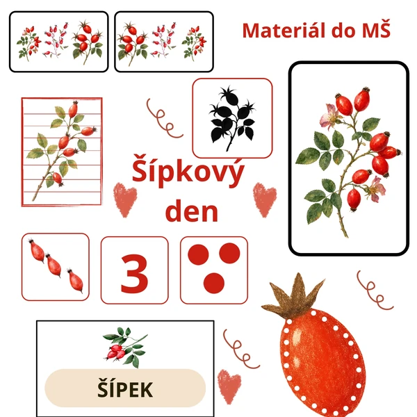 Šípkový den ❤️