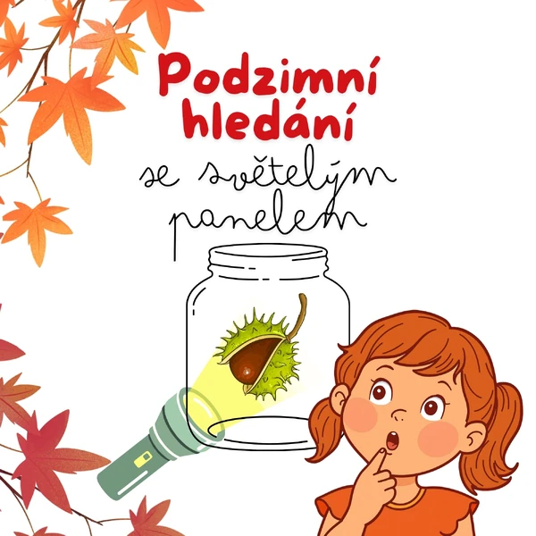 Podzimní hledání
