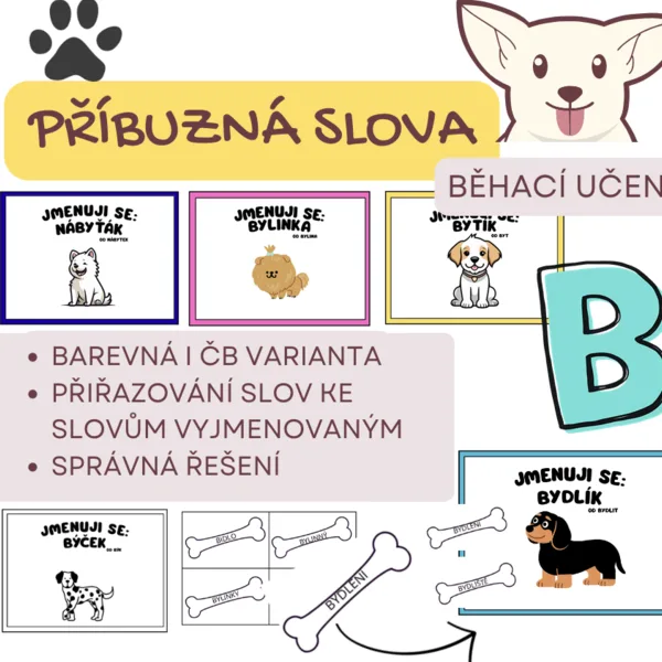 Příbuzná slova