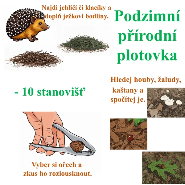 Podzimní plotovka s dary přírody a zvířátky