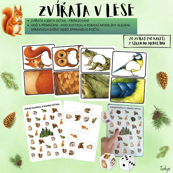 Zvířata v lese