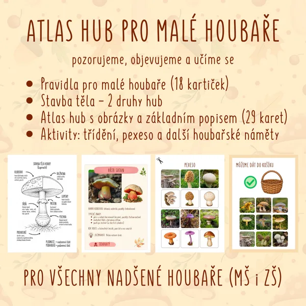 Atlas hub pro malé houbaře (nejen pro MŠ a ZŠ)