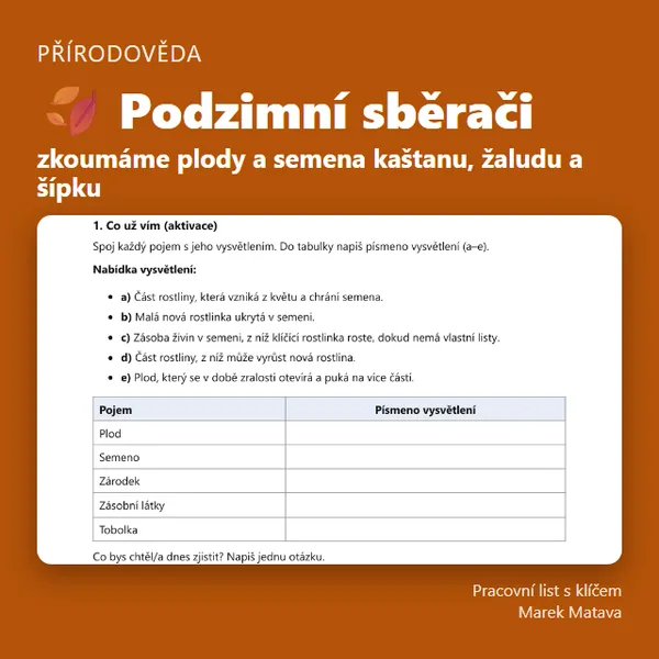🍂 Podzimní sběrači – zkoumáme plody a semena kaštanu, žaludu a šípku