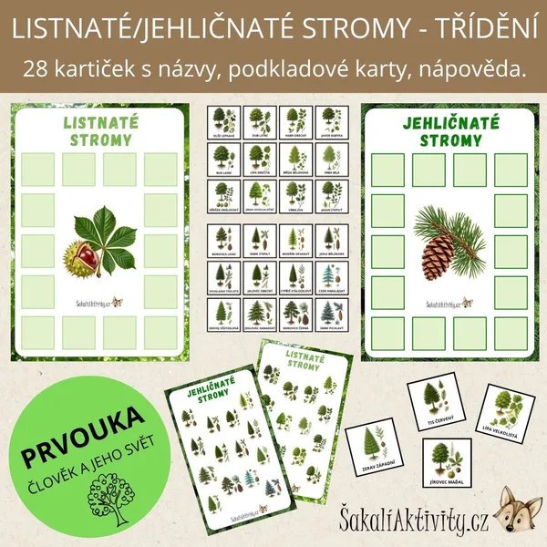 LISTNATÉ A JEHLIČNATÉ STROMY - TŘÍDĚNÍ