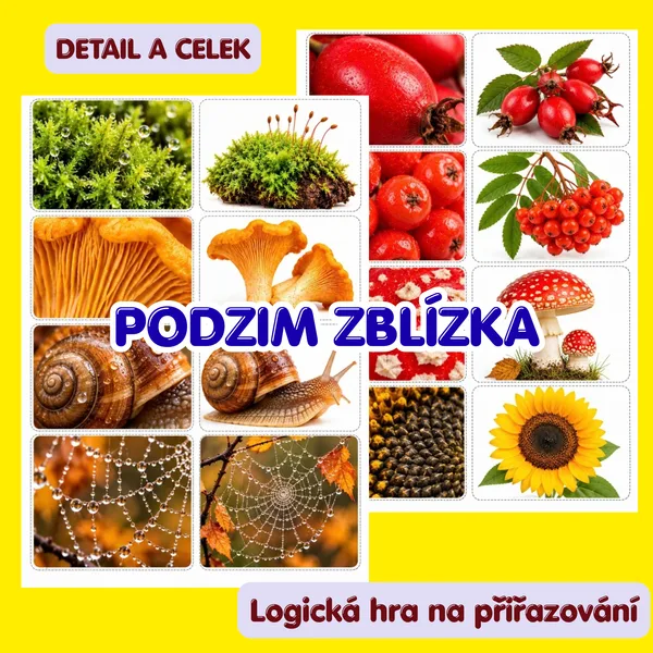 Podzim zblízka – Detail a celek | Přiřazování detailů