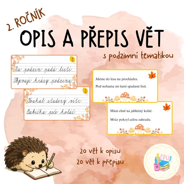 Opis a přepis vět