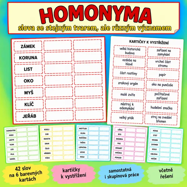 Homonyma - slova se stejným tvarem, ale různým významem