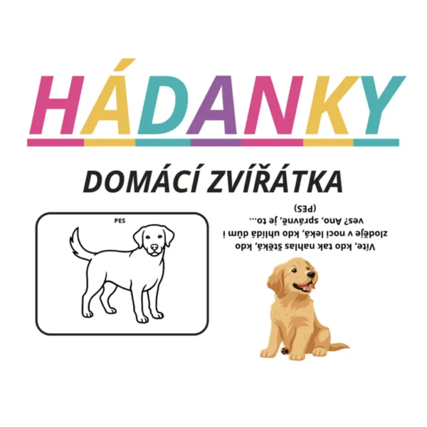 Hádanky - domácí zvířátka