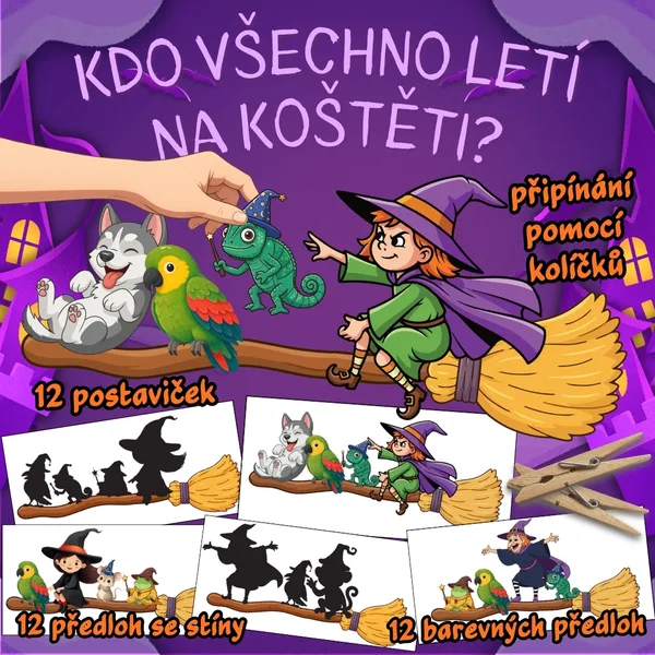 KDO VŠECHNO LETÍ NA KOŠTĚTI?