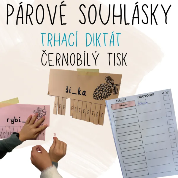 Párové souhlásky - trhací diktát