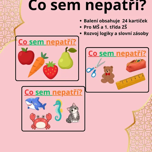 Co sem nepatří?