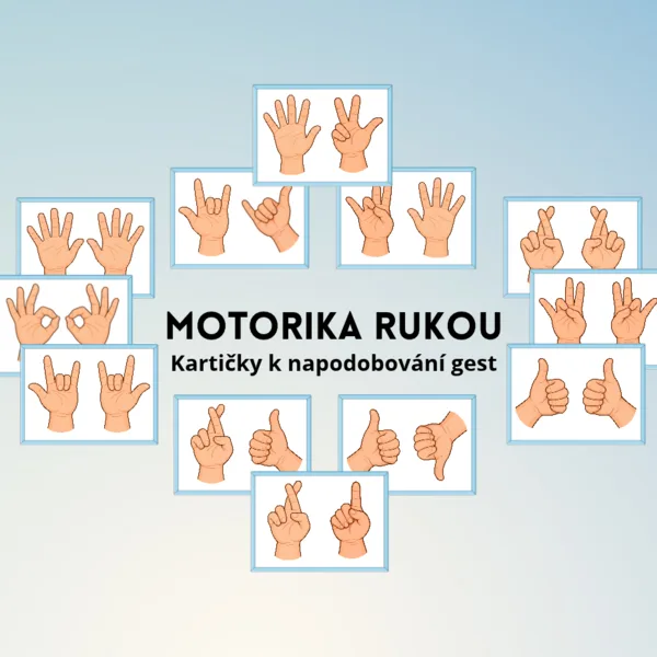 Motorika rukou