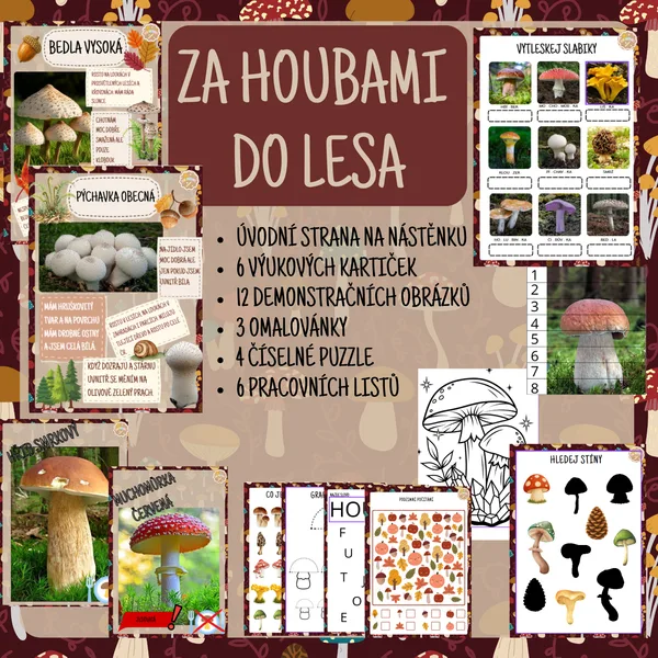 Za houbami do lesa