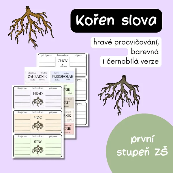 Stavba slova - Kořen, předpony, přípony