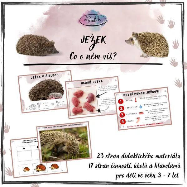 JEŽEK - co o něm víš?