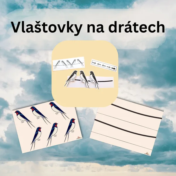 Vlaštovky na drátech