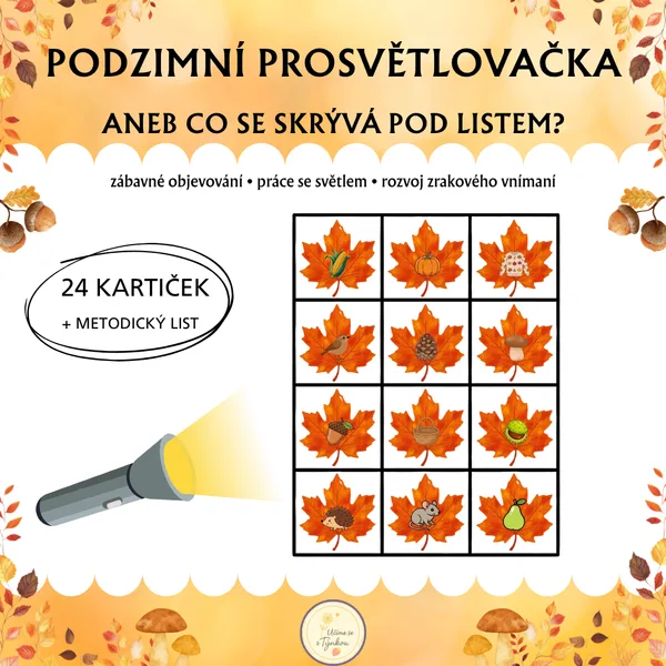 Podzimní prosvětlovačka - Co se skrývá pod listy?