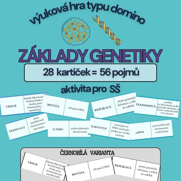 Domino GENETIKA - pojmy pro SŠ - barevná i čb verze
