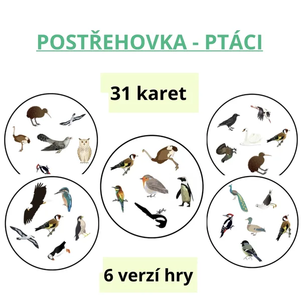 Postřehovka - ptáci 🦉