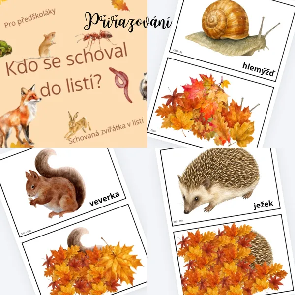 Kdo se schoval do listí?