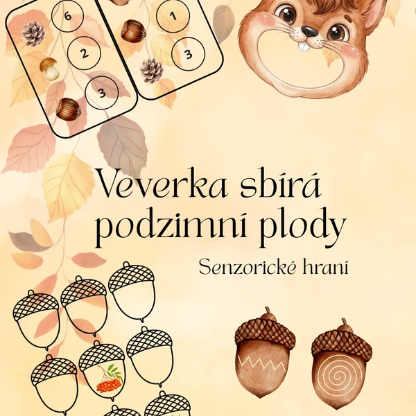 Veverka sbírá podzimní plody - Senzory