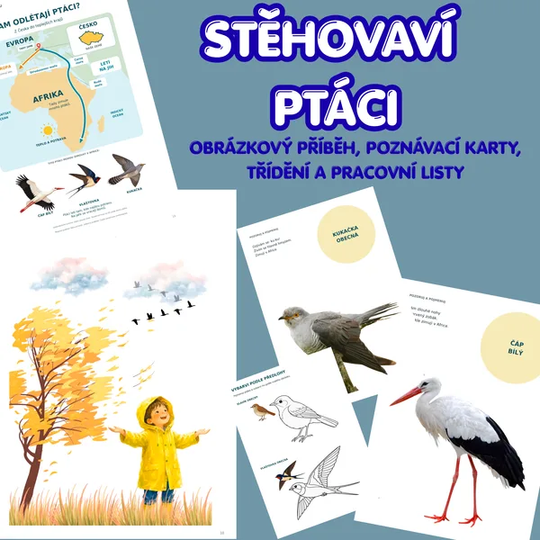 STĚHOVAVÍ PTÁCI | Příběh, poznávací karty a pracovní listy