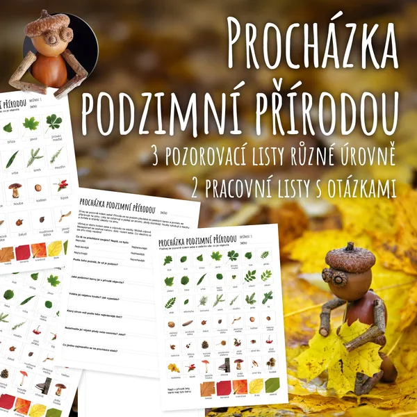 Procházka podzimní přírodou - podzimní hledačka